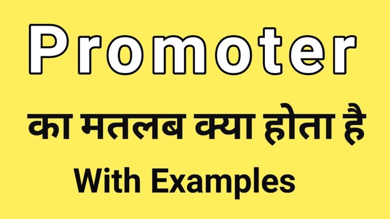 promoter meaning in hindi - Hình 2