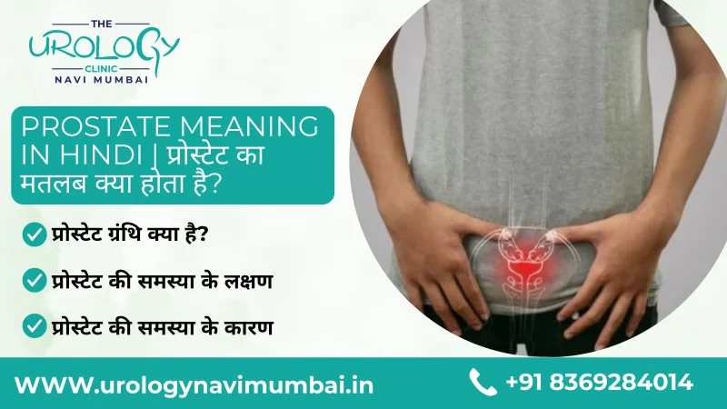 प्रोस्टेट का हिंदी में अर्थ: परिभाषा और बुनियादी समझ