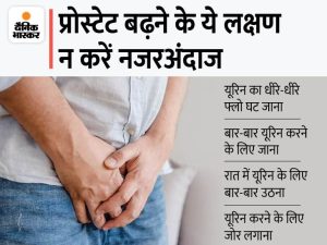 prostate meaning in hindi 4