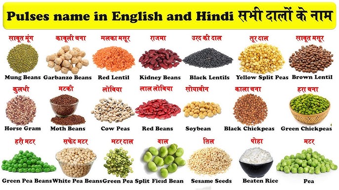 pulses meaning in hindi 1