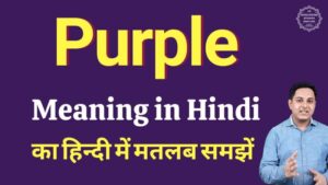 purple meaning in hindi