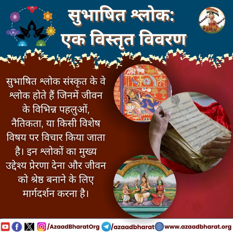 pursue meaning in hindi 3