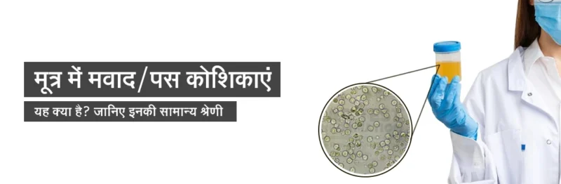 pus cells meaning in hindi - Hình 4