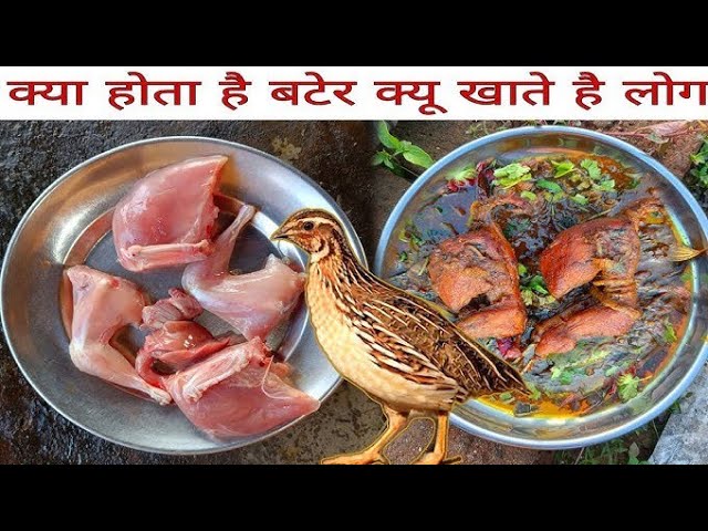 बटेर पालन: हिंदी में जानकारी, तरीके और फायदे