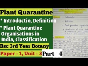 quarantine meaning in hindi 2
