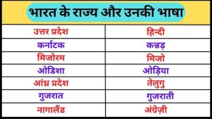 quilt meaning in hindi 2