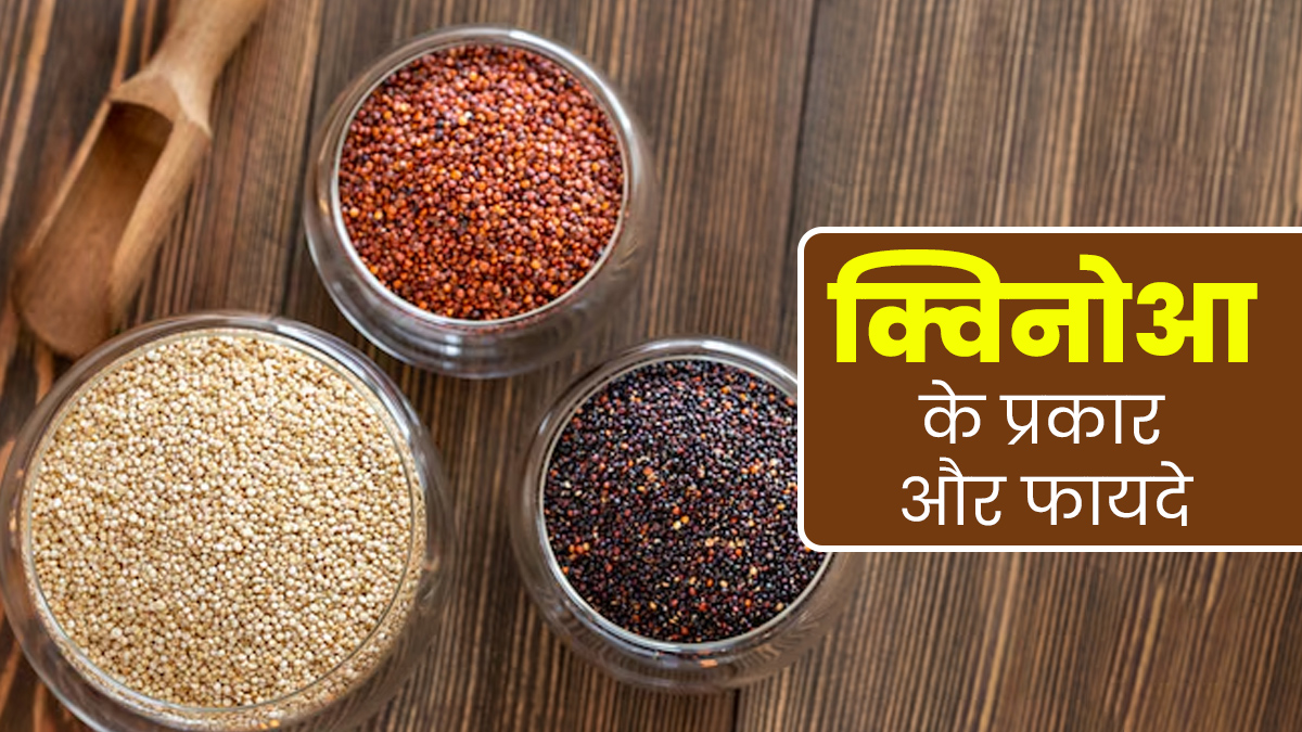 क्विनोआ क्या है? (Quinoa Kya Hai?)