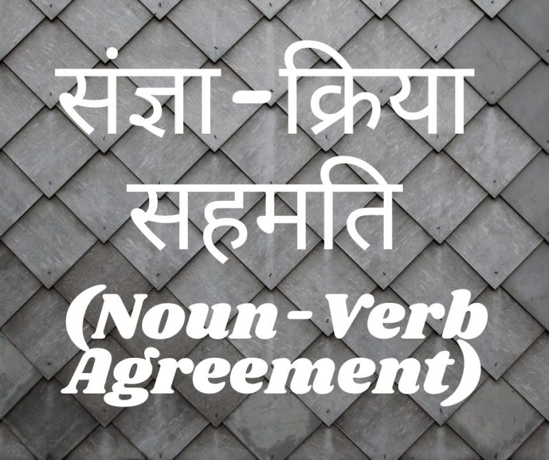 race meaning in hindi 1