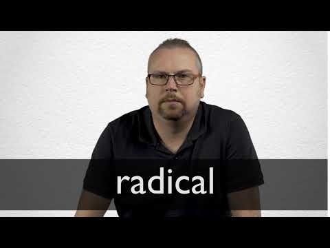 radical meaning in hindi 2