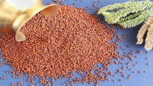 ragi meaning in hindi 1