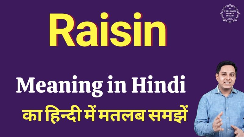 raisin meaning in hindi - Hình 2