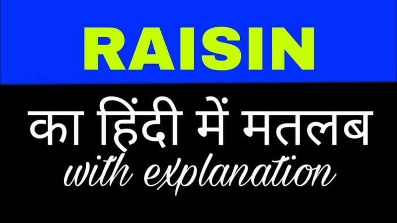 raisin meaning in hindi - Hình 3