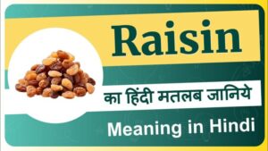 raisin meaning in hindi