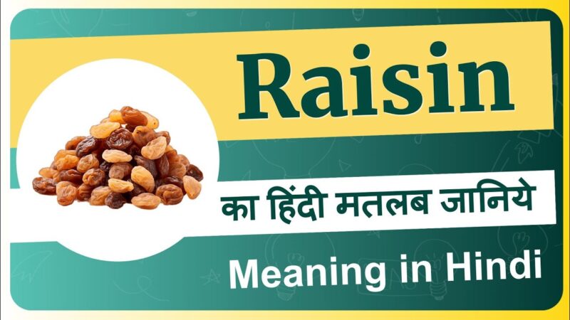 raisin meaning in hindi - Hình 1