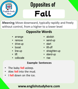 rapidly meaning in hindi 3