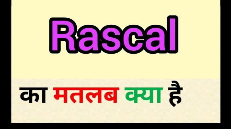 rascal meaning in hindi - Hình 2