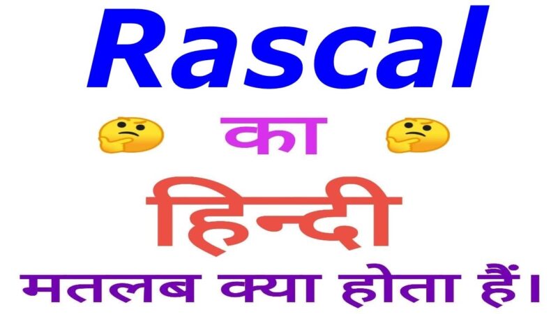 rascal meaning in hindi - Hình 3