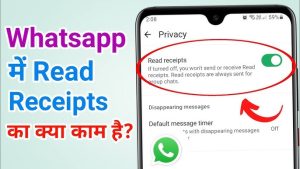 read receipts meaning in hindi 3