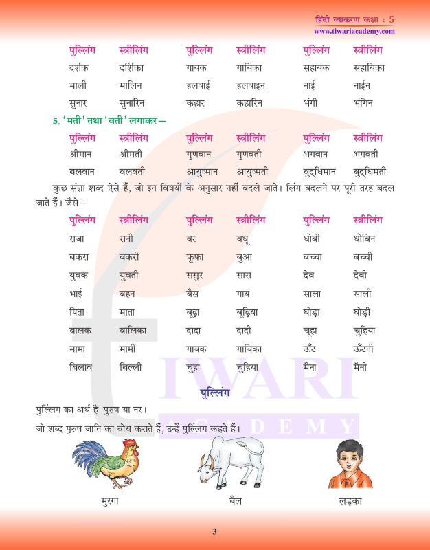कारण शब्द का व्याकरणिक विश्लेषण: लिंग, वचन, और कारक