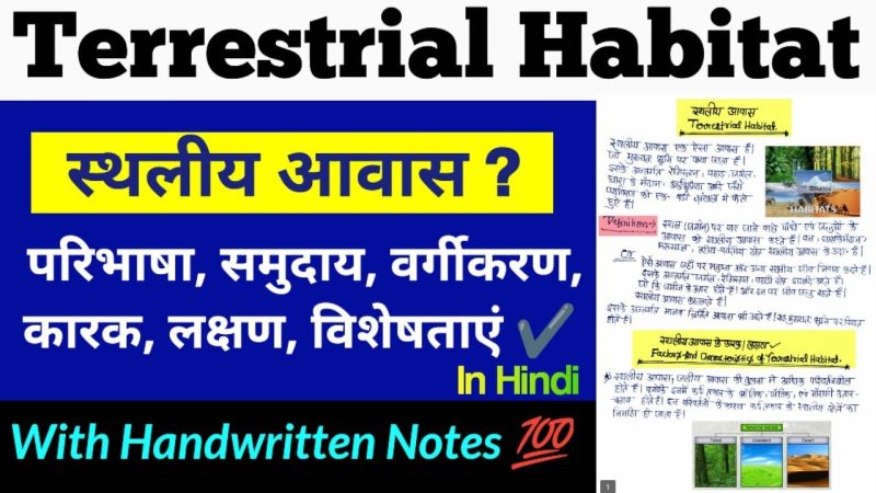 आवासीय स्थिति के प्रकार और हिंदी में उनके अर्थ