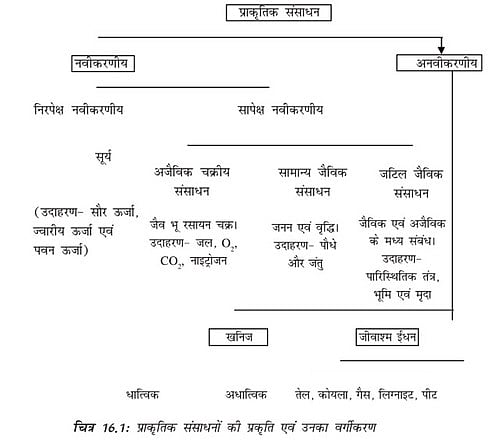 विभिन्न क्षेत्रों में संसाधनों का उपयोग (विभिन्न क्षेत्रों में संसाधनों का उपयोग)