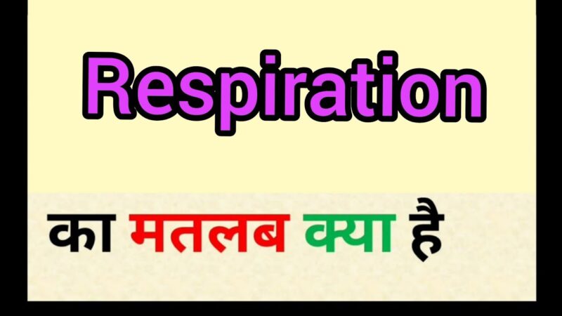 respiration meaning in hindi - Hình 2