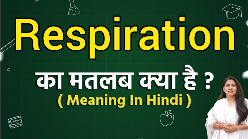 respiration meaning in hindi - Hình 4