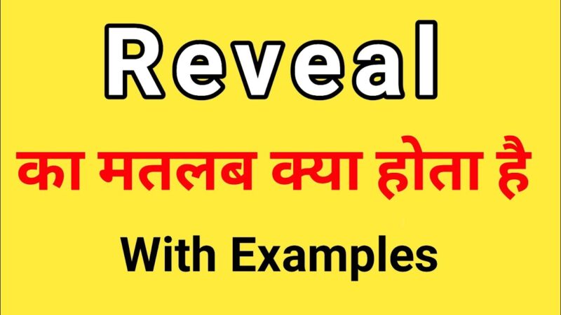 reveal meaning in hindi - Hình 4