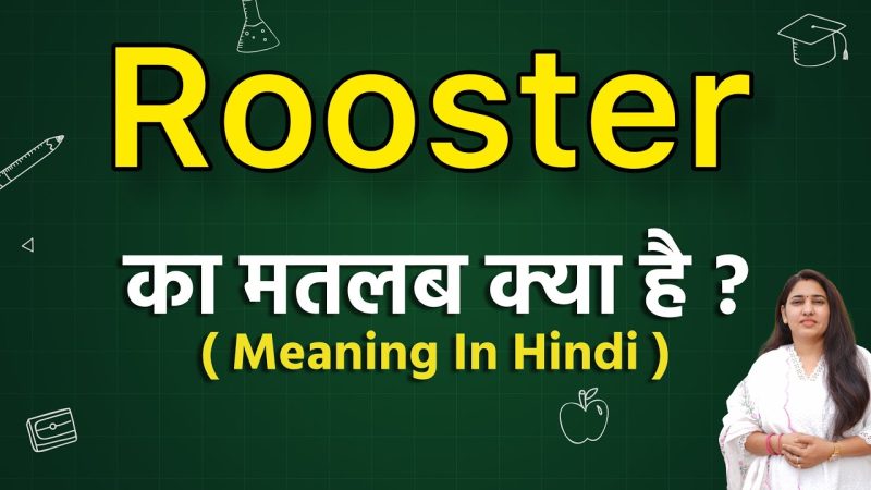 विभिन्न क्षेत्रों में रोस्टर के अर्थ (Vibhinn kshetron mein roaster ke arth)