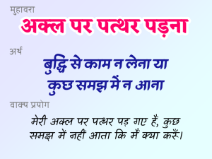 roaster meaning in hindi 4