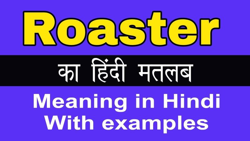 रोस्टर शब्द का उपयोग करके उदाहरण वाक्य (Roaster shabd ka upyog karke udaharan vaakya)