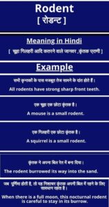 rodents meaning in hindi