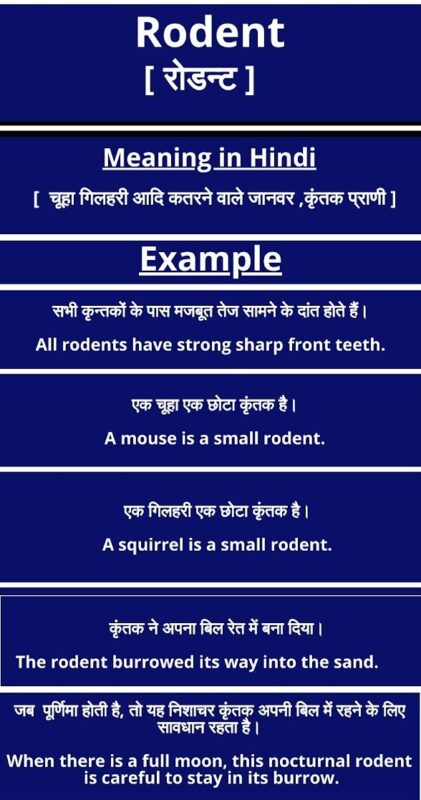 rodents meaning in hindi - Hình 1