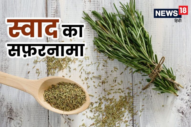 Rosemary Meaning In Hindi: रोज़मेरी का अर्थ, गुलमेंहदी, फायदे और उपयोग 9 रोज़मेरी शब्द की उत्पत्ति और सांस्कृतिक महत्व (Rosemary shabd ki utpatti aur sanskritik mahatv)