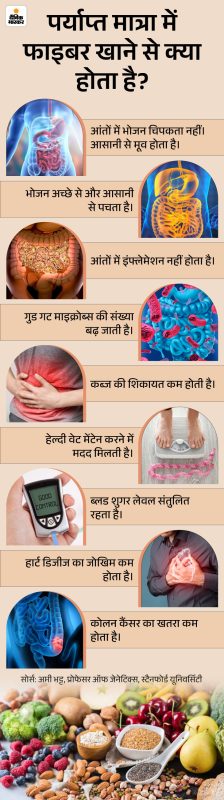 रफेज की दैनिक आवश्यकता: हिंदी में मात्रा और सेवन  एक व्यक्ति को प्रतिदिन कितना रफेज लेना चाहिए, और इसे अपने आहार में संतुलित तरीके से कैसे शामिल करें ताकि स्वास्थ्य बेहतर बना रहे।