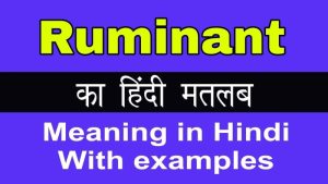 ruminants meaning in hindi 1
