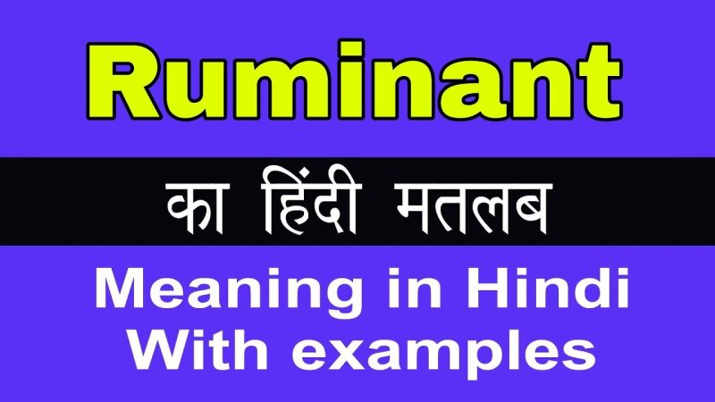जुगाली करने वाले पशु (Ruminants) का अर्थ हिंदी में क्या है?
