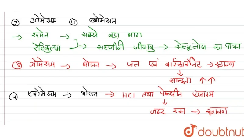 जुगाली (Rumination) की प्रक्रिया कैसे होती है?