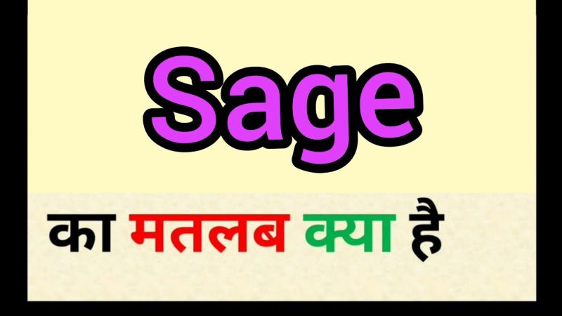 ऋषि का हिंदी में अर्थ: गहराई से समझें (Sage meaning in Hindi: Deep understanding)