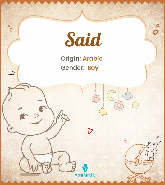 said meaning in hindi 1
