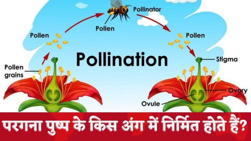 same as last seen meaning in hindi 5