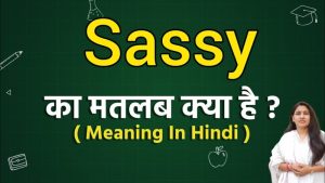 sassy meaning in hindi 1