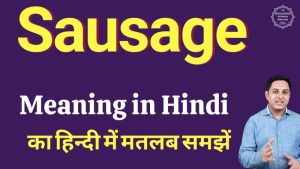 sausage meaning in hindi