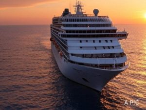 say no to cruise meaning in hindi 3