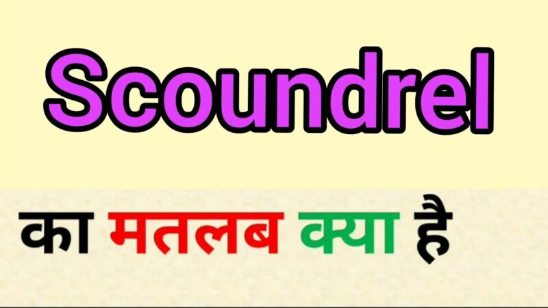 scoundrel meaning in hindi - Hình 4