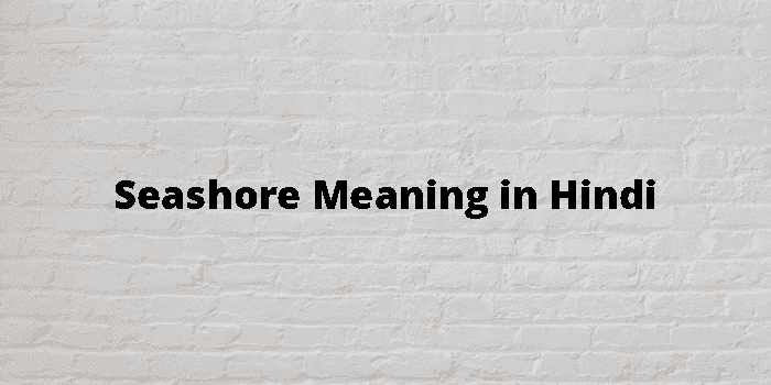 seashore meaning in hindi - Hình 4