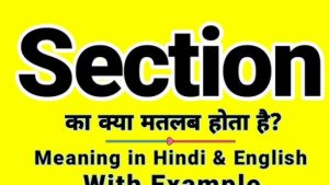 section meaning in hindi 3