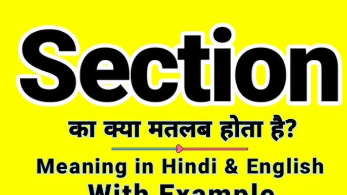 section meaning in hindi 3