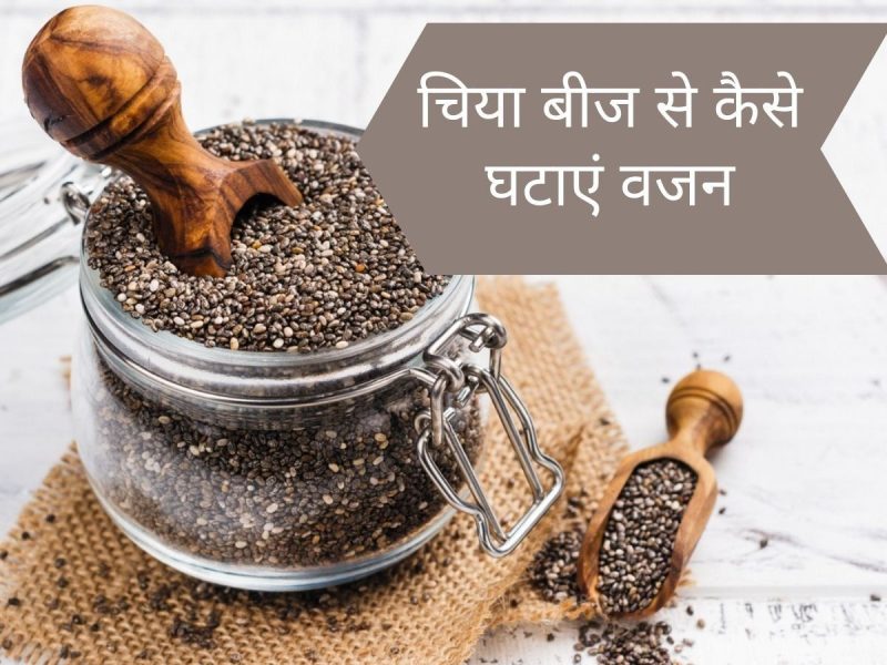 seed meaning in hindi 1