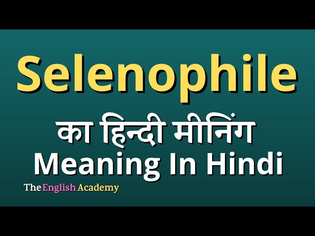 सिलेनोफ़ाइल का हिंदी में अर्थ: एक विस्तृत व्याख्या